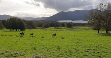 Ireland-Kerry-Ring of Kerry Ride